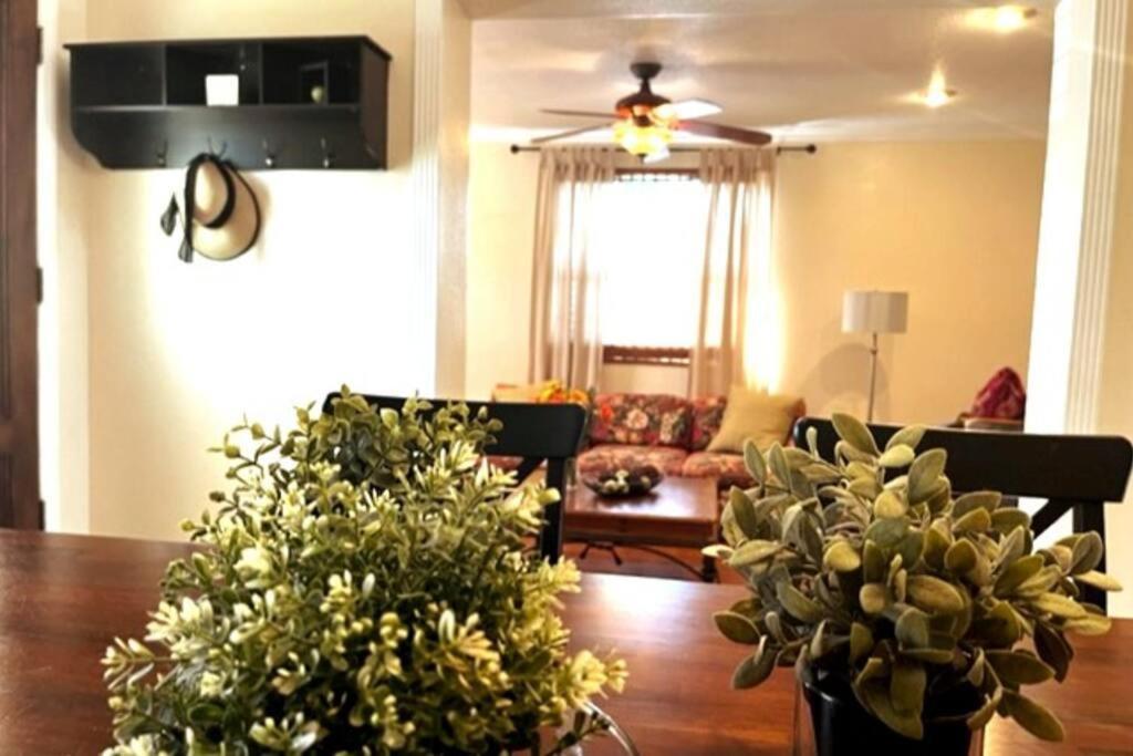 House Close To Downtown, Airport, Raymond James Stadium, And Many More Places Tampa Eksteriør bilde