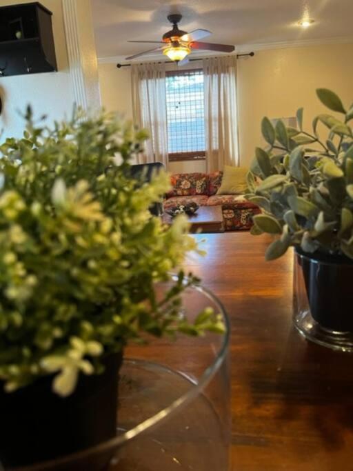 House Close To Downtown, Airport, Raymond James Stadium, And Many More Places Tampa Eksteriør bilde